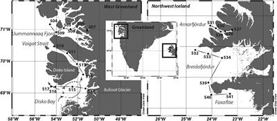 Comparative Metabarcoding and Metatranscriptomic Analysis of Microeukaryotes Within Coastal Surface Waters of West Greenland and Northwest Iceland